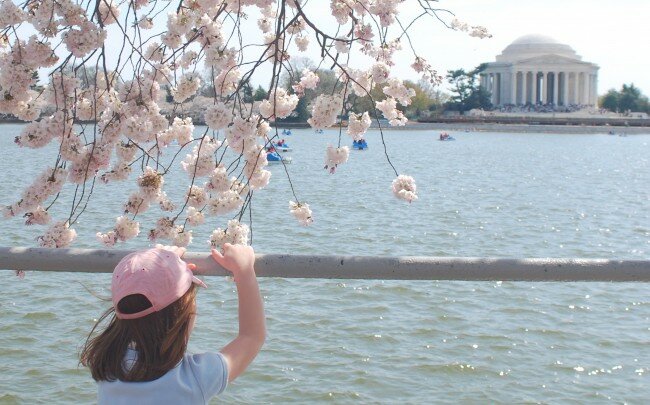 Jefferson Memorial