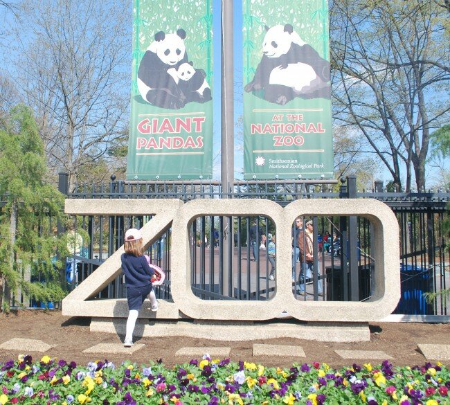 Zoo