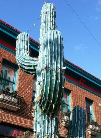 Cactus Cantina