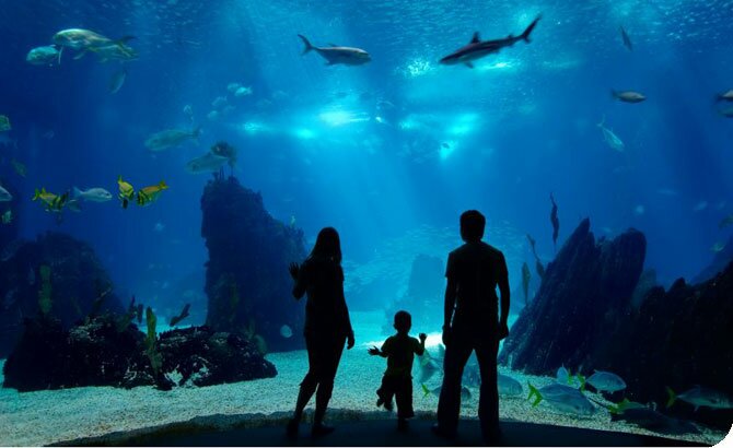Baltimore Aquarium Baltimore Aquarium