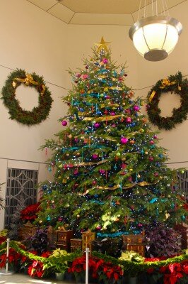 USBG Christmas Tree