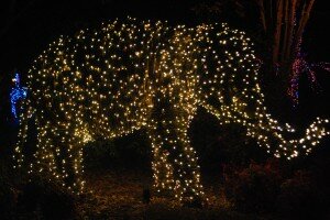 National Zoo Lighted Elephant