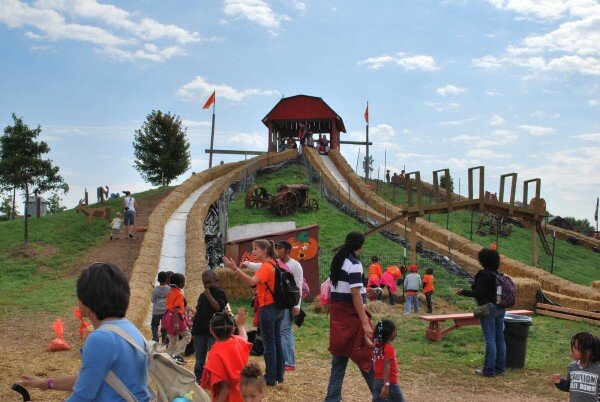 Cox Farm Cox Farm Fall Festival