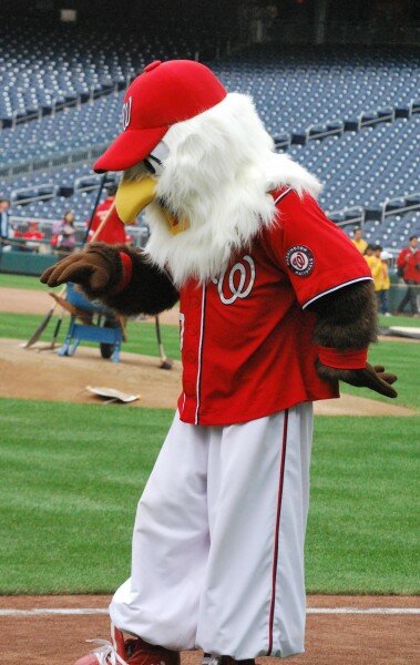 Screech Washington Nationals Washington Nationals Mascot