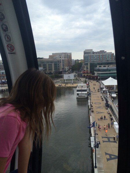 National Harbor Ferris Wheel Capital Wheel National Harbor
