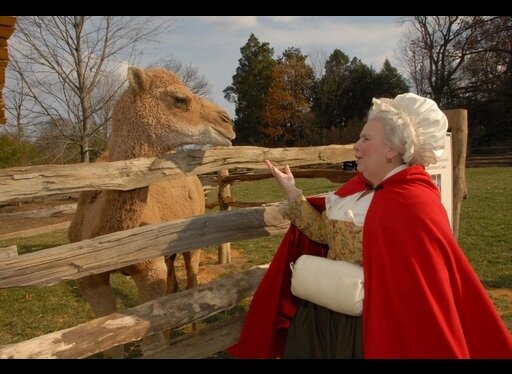 Mount Vernon Christmas at Mount Vernon